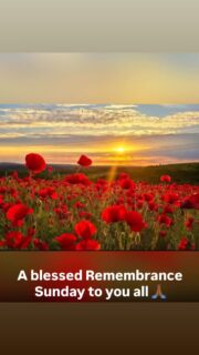 Today #RemembranceSunday. 

In silence, we remember those who served, those who fell, and those who returned carrying the memory of conflict.
 
We will remember them.🌺

#barber #oe #oehairdesign #letsweforget #weremember